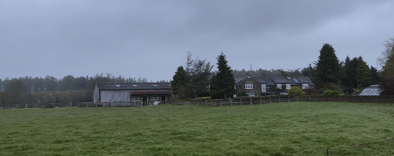 A field of grass with buildings in the background
Description automatically generated